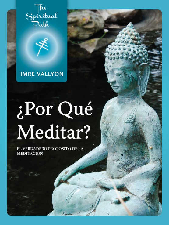 Por Qué Meditar? eBook