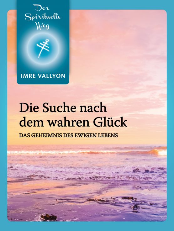 Die Suche Nach Dem Wahren Glück eBook